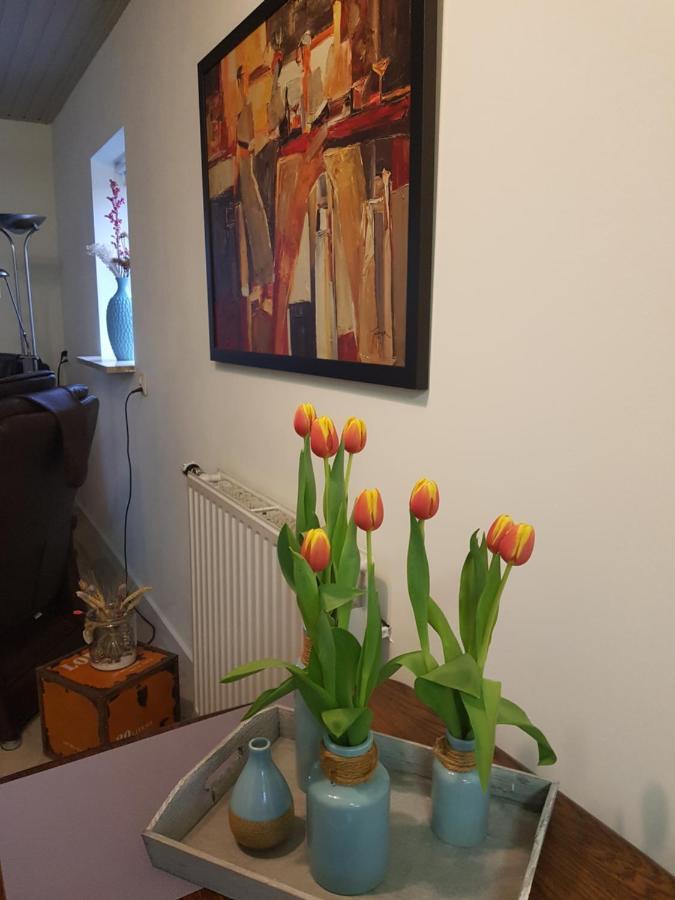 Ferienwohnung Op ut Schoor Sint-Oedenrode Exterior foto